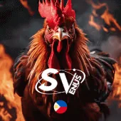 k9win Baccarat Live Bàn chơi trực tuyến với Dealer chia bài thực tế, truyền hình HD. C